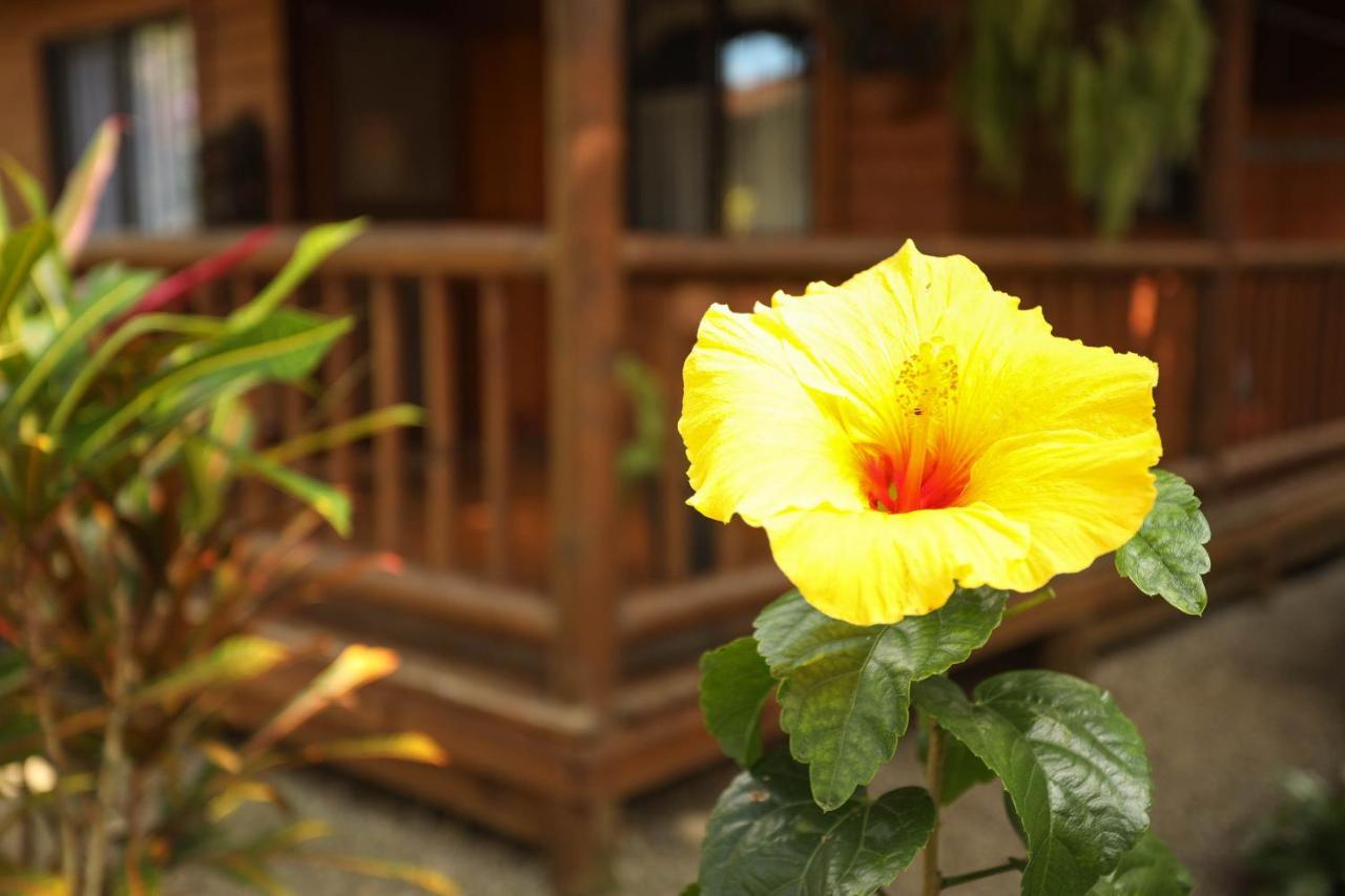 Casa Marcellino Lodge Cahuita Exterior photo