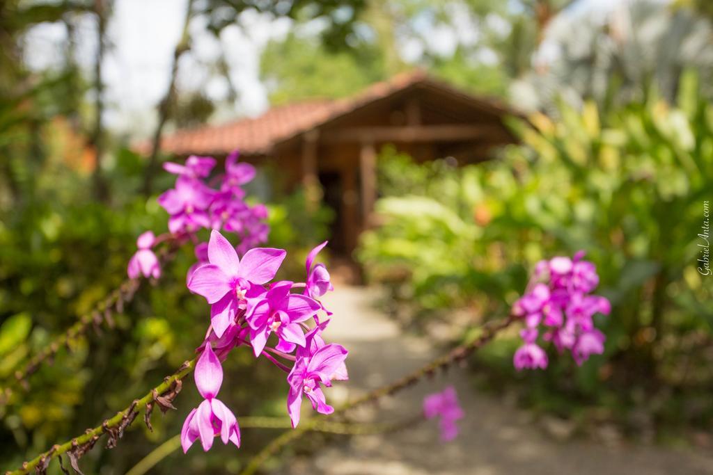 Casa Marcellino Lodge Cahuita Exterior photo