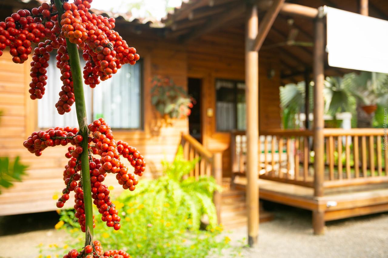 Casa Marcellino Lodge Cahuita Exterior photo